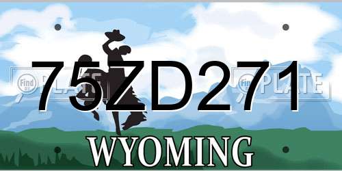 75ZD271 Wyoming License Plate
