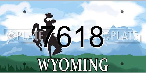 7618 Wyoming License Plate