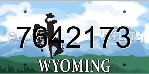 7642173 Wyoming License Plate