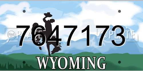 7647173 Wyoming License Plate