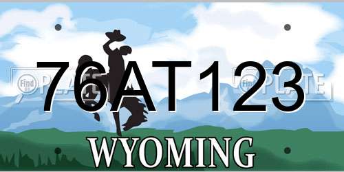 76AT123 Wyoming License Plate