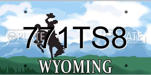 771TS8 Wyoming License Plate