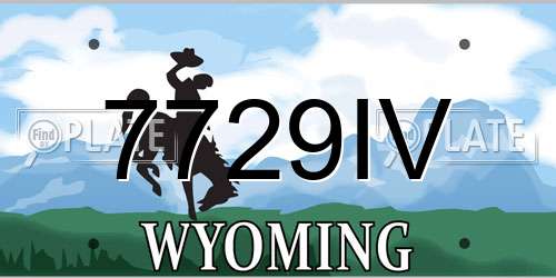 7729IV Wyoming License Plate