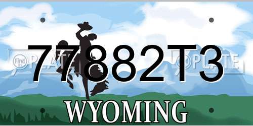 77882T3 Wyoming License Plate