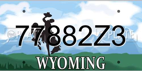 77882Z3 Wyoming License Plate
