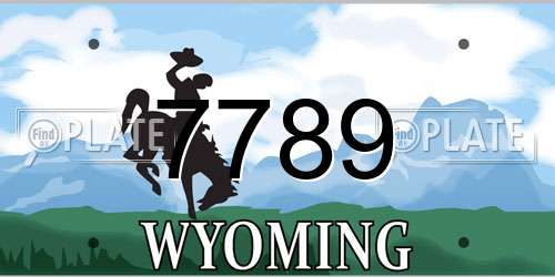 7789 Wyoming License Plate