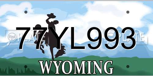 77YL993 Wyoming License Plate