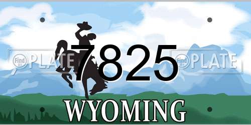 7825 Wyoming License Plate