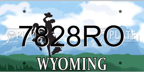 7828RO Wyoming License Plate