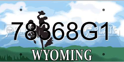 78368G1 Wyoming License Plate
