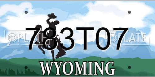 783T07 Wyoming License Plate