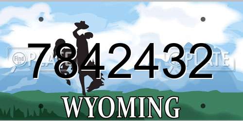 7842432 Wyoming License Plate