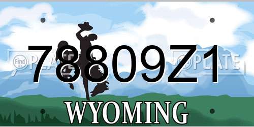 78809Z1 Wyoming License Plate