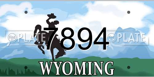 7894 Wyoming License Plate