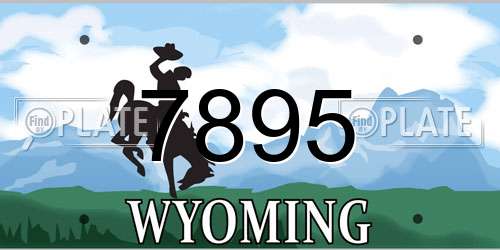 7895 Wyoming License Plate