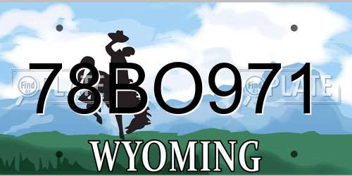 78BO971 Wyoming License Plate