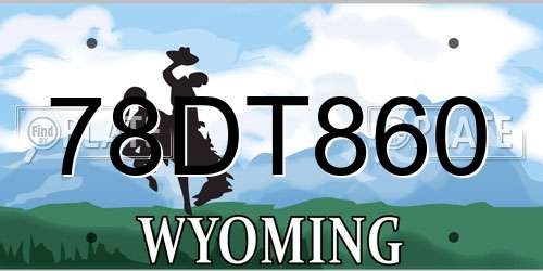 78DT860 Wyoming License Plate