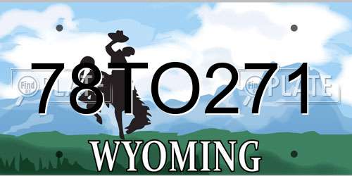 78TO271 Wyoming License Plate