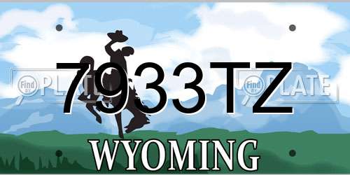 7933TZ Wyoming License Plate