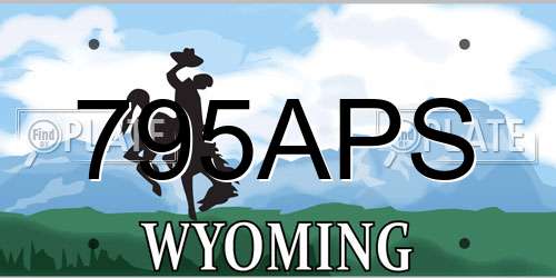 795APS Wyoming License Plate