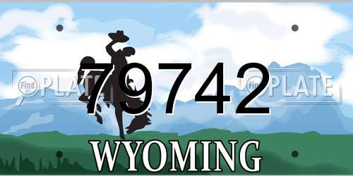 79742 Wyoming License Plate