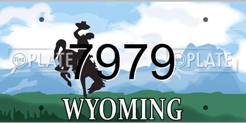 7979 Wyoming License Plate