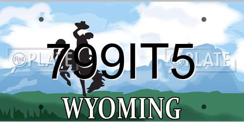 799IT5 Wyoming License Plate