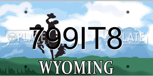 799IT8 Wyoming License Plate
