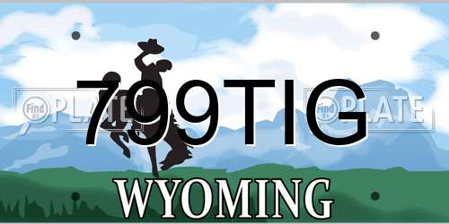 799TIG Wyoming License Plate