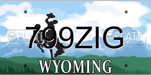 799ZIG Wyoming License Plate