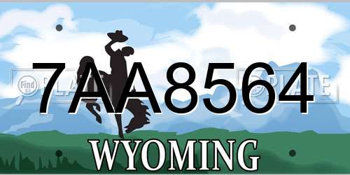 7AA8564 Wyoming License Plate
