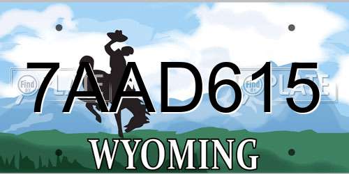 7AAD615 Wyoming License Plate