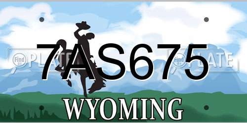 7AS675 Wyoming License Plate