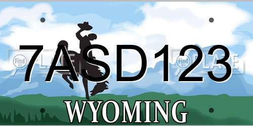 7ASD123 Wyoming License Plate