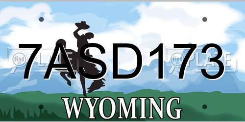 7ASD173 Wyoming License Plate