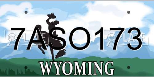 7ASO173 Wyoming License Plate