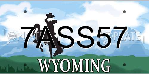7ASS57 Wyoming License Plate