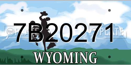 7B20271 Wyoming License Plate