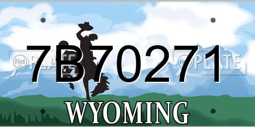 7B70271 Wyoming License Plate