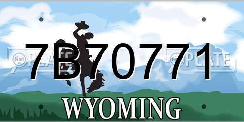 7B70771 Wyoming License Plate