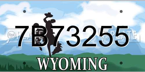 7B73255 Wyoming License Plate