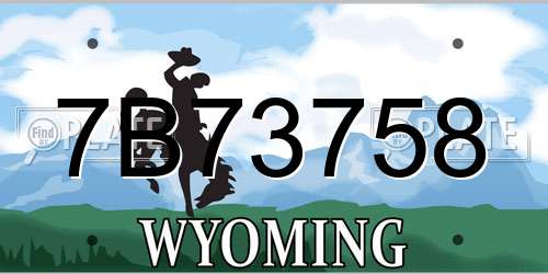 7B73758 Wyoming License Plate