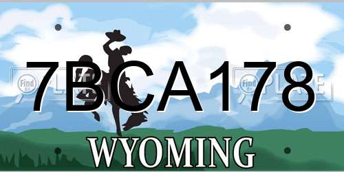 7BCA178 Wyoming License Plate