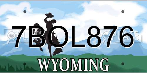 7BOL876 Wyoming License Plate
