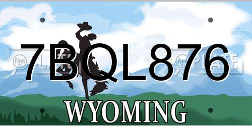7BQL876 Wyoming License Plate