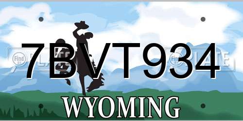 7BVT934 Wyoming License Plate