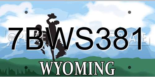 7BWS381 Wyoming License Plate