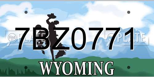 7BZ0771 Wyoming License Plate