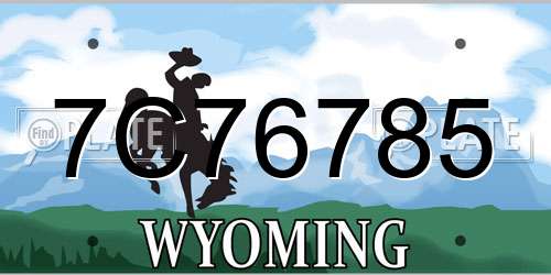 7C76785 Wyoming License Plate