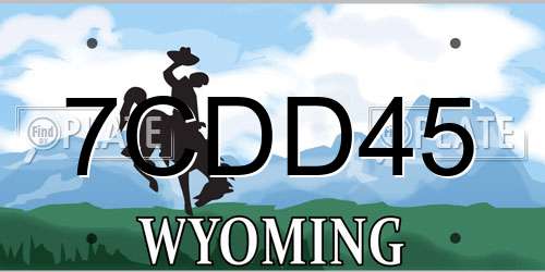 7CDD45 Wyoming License Plate